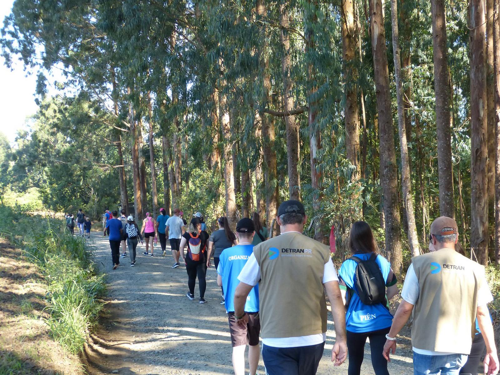 Mais de 1.500 pessoas na Caminhada na Natureza de Piên 