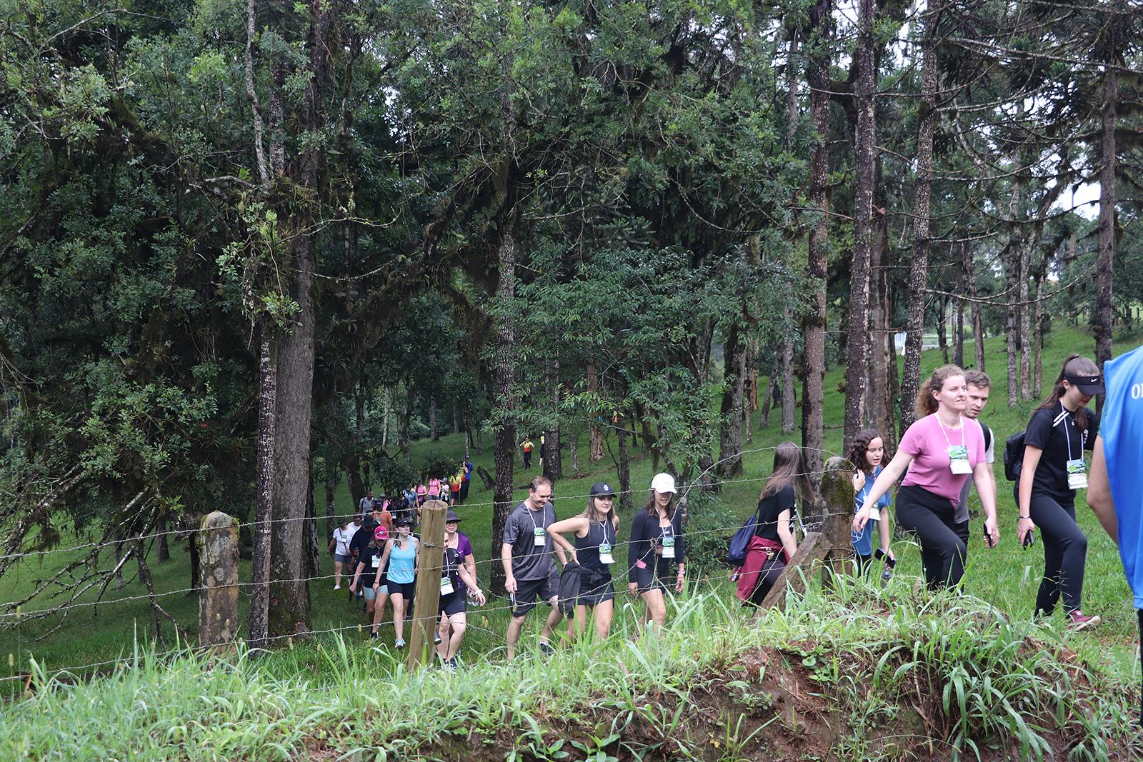 Caminhada na Natureza de Piên é mais uma vez sucesso Caminhada na Natureza de Piên é mais uma vez sucesso