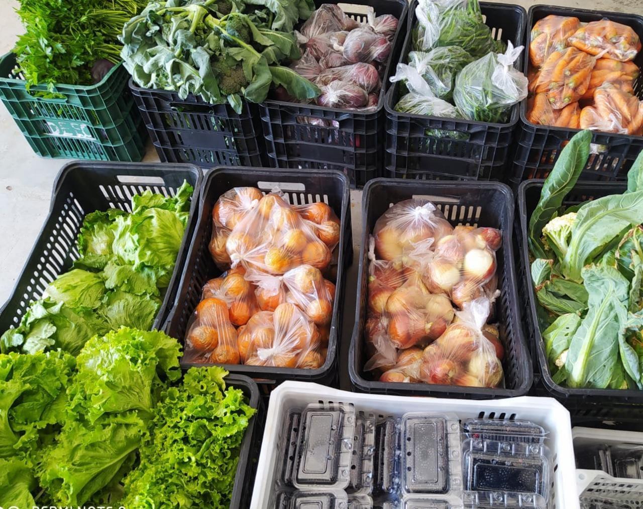 Agricultura e Educação farão um chamamento para aquisição de alimentos para a merenda escolar 