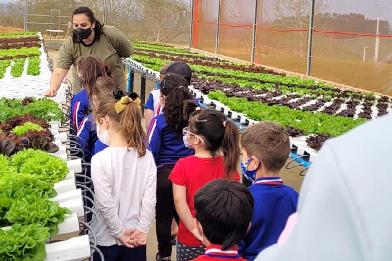 Alunos conhecem produção de alimentos hidropônicos