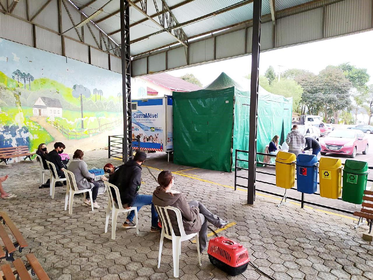 Castração de animais: Próxima etapa será no Avencal