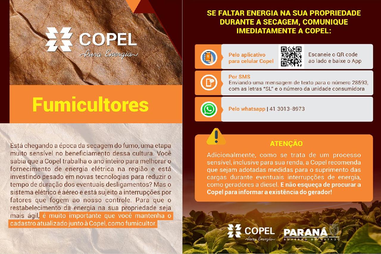 Copel orienta fumicultores sobre uso de energia na secagem do fumo