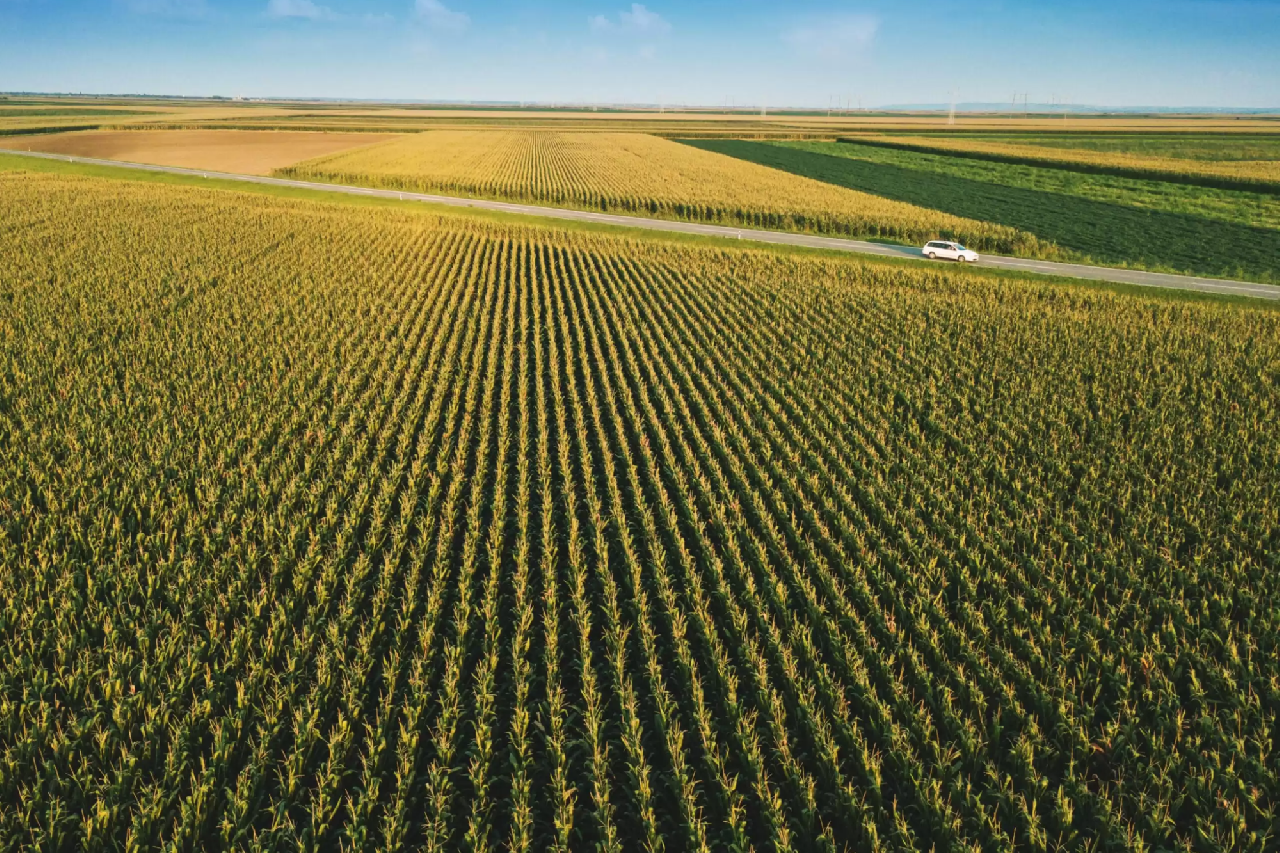 ITR 2025: Prefeitura divulga valores do VTN e prazos para declaração