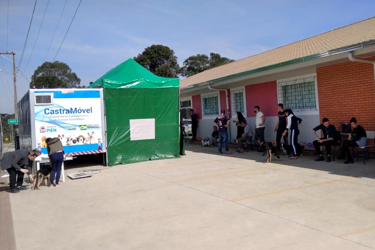 Mais um mutirão de castrações foi realizado neste sábado