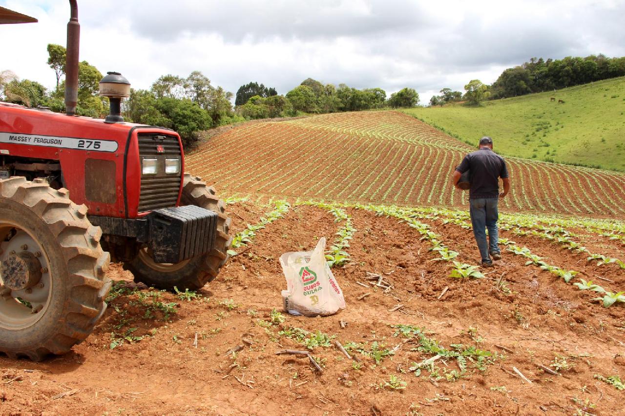 Prefeitura auxilia no cadastramento para Nota Fiscal do Produtor Eletrônica