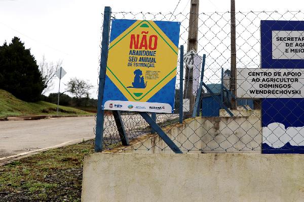 Imagem do card