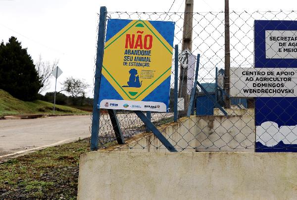 Imagem do card