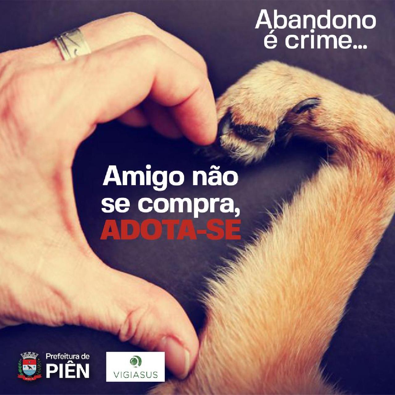Prefeitura lança a campanha “Amigo não se compra, adota-se”
