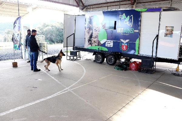 Imagem do card