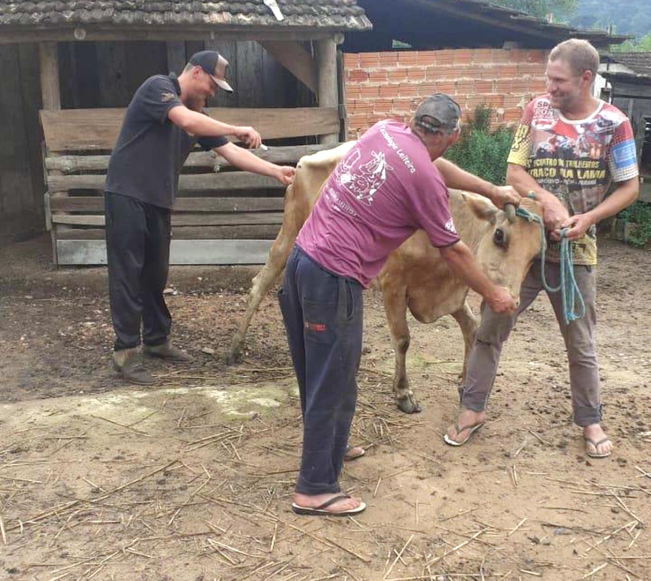 Secretaria de Agricultura disponibiliza atendimento veterinário