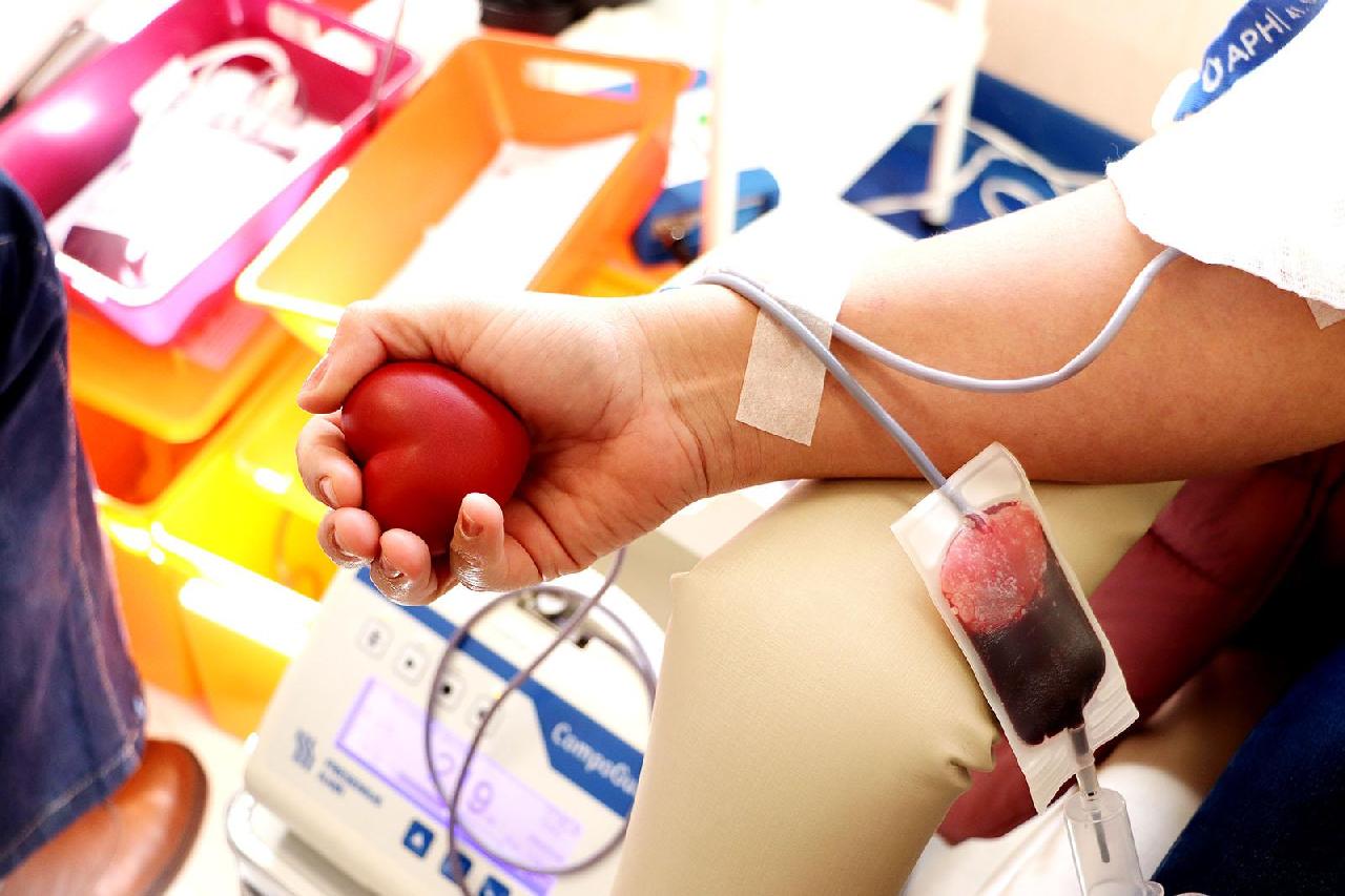 Solidariedade de Piên resulta em cerca de 80 bolsas de sangue